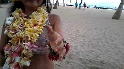 Hula girl prayerchild Ku'uipo prays and dances