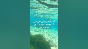تلاوة خاشعة تنساب كالنسيم. ما تيسر من سورة الأعراف القارئ: محمد اللحيدان، عالم من الطمأنينة والخشوع