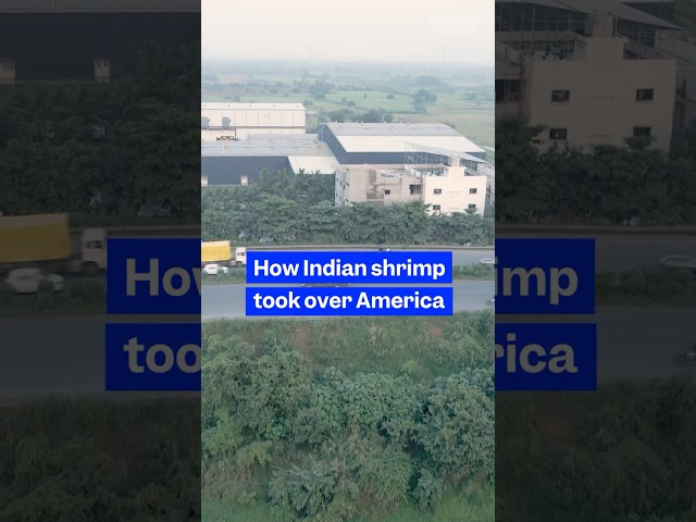 Here's how #Indian #shrimp took over #American markets. #seafood #India #fishing