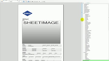 Customize IGEMS Report