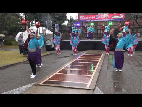 よさこい鳴子連　今日一屋（四日市よさこい祭り2016）諏訪公園メイン会場