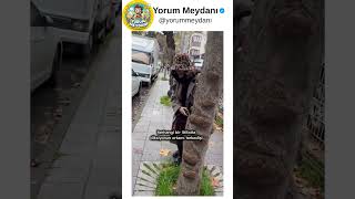 En önemli yerlede benim DİKSİYON 😂​😅​ IG:1mervelerdeyizz #komikyorumlar