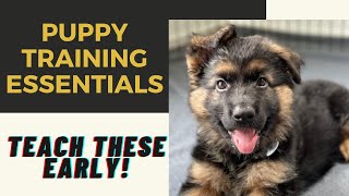 Puppy Training: Essential Skills Every Puppy Must Learn! (Week 2) by Training Positive 18,395 views 2 years ago 10 minutes, 11 seconds