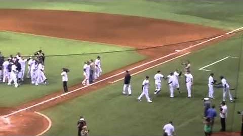 Tampa Bay Rays Celebrate Walk Off Win