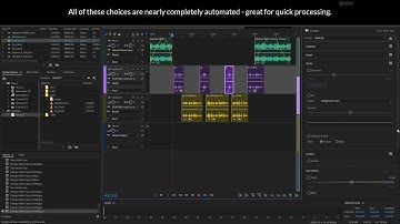 Learn Adobe Audition: 3.04 Working with Essential Sound