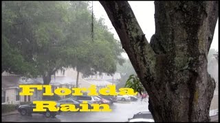 Florida Rain