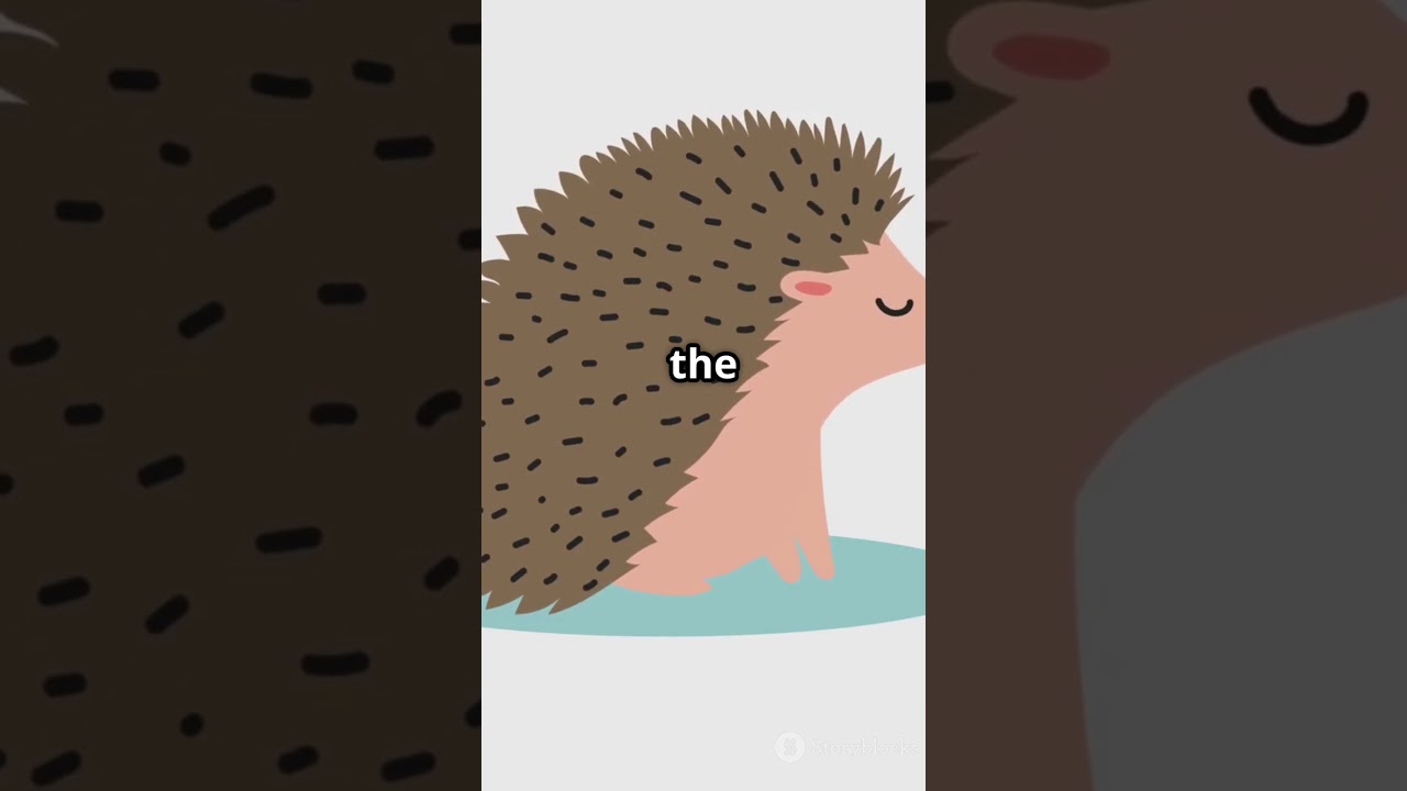 The Silent Answer A Hedgehog's Quest 