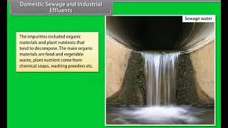 Ch 16 - Environmental Issues | Domestic Sewage and Industrial Effluents