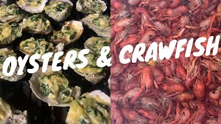 Louisiana Oysters Raw and Charbroiled (How To Shuck & Sauce Recipes)   Plus Bonus Crawfish Boil