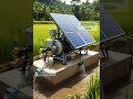 Sunlight Powers This Rice Field 🌾☀️ #SolarFarming #CleanEnergy #SmartIrrigation #SustainableAg