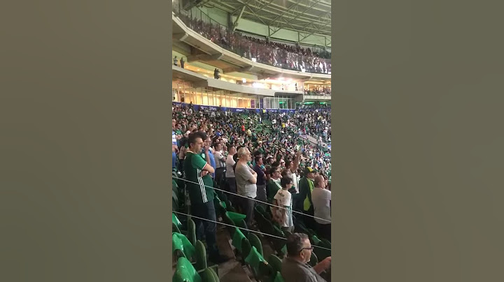 Torcida do Flamengo cala a do Palmeiras no Allianz Parque - brasileirão 2018 13/06/2018