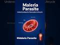 MALARIA SE BACHO🤒, Malaria parasite, Malaria awareness, Malaria fever, #healthtips