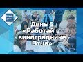 День 5 - Работай в винограднике Отца - &quot;Новый Уровень&quot; 2019