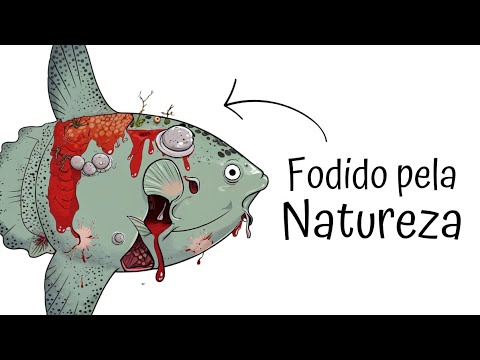 Por Que É Uma MERDA Nascer Como Um Peixe-Lua