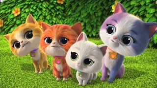 I Love Kittydale | Song | SuperKitties