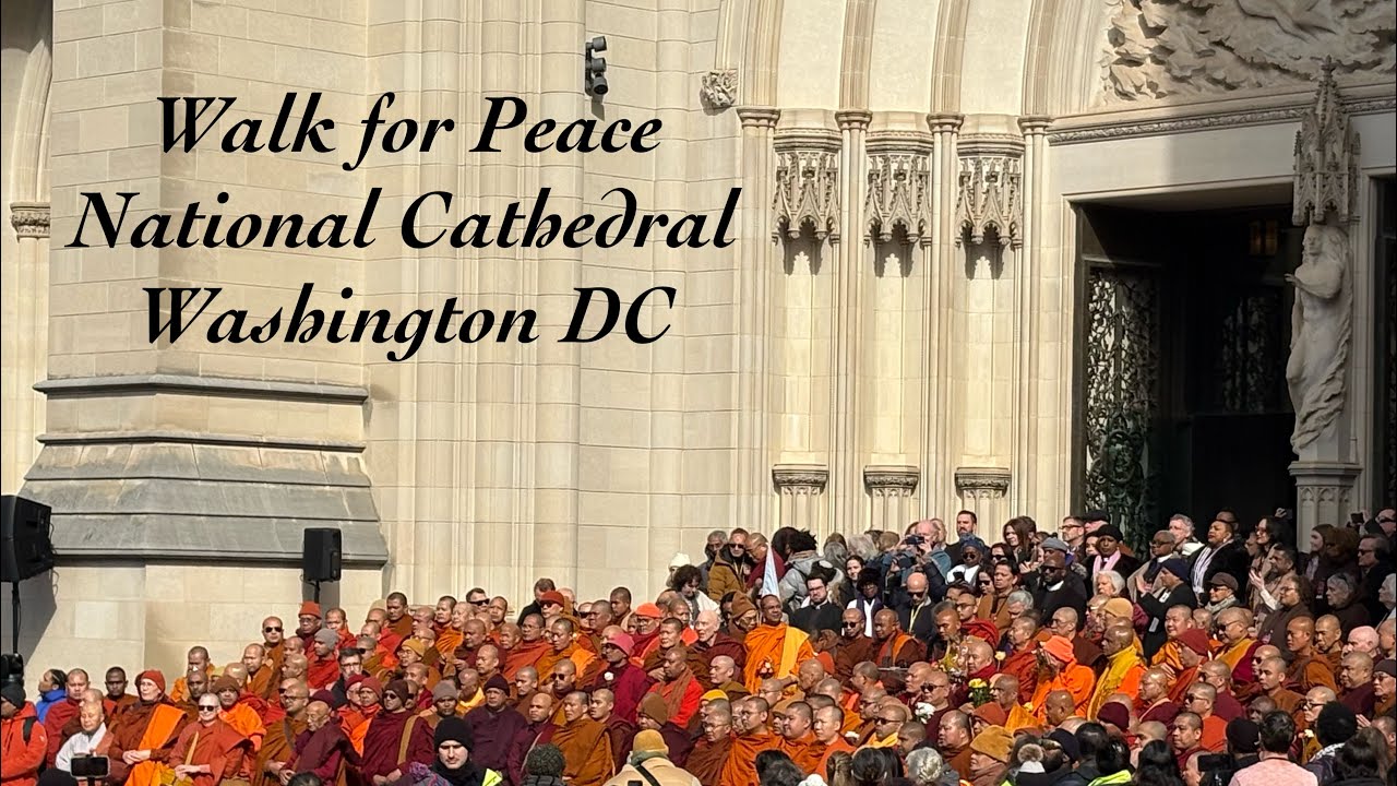 🕊️  Venerable Bhikkhu Paññākāra speaking of Peace at Washington National Cathedral. 