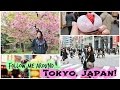 Follow Me Around Tokyo, Japan with Japanese Food & Sweets!