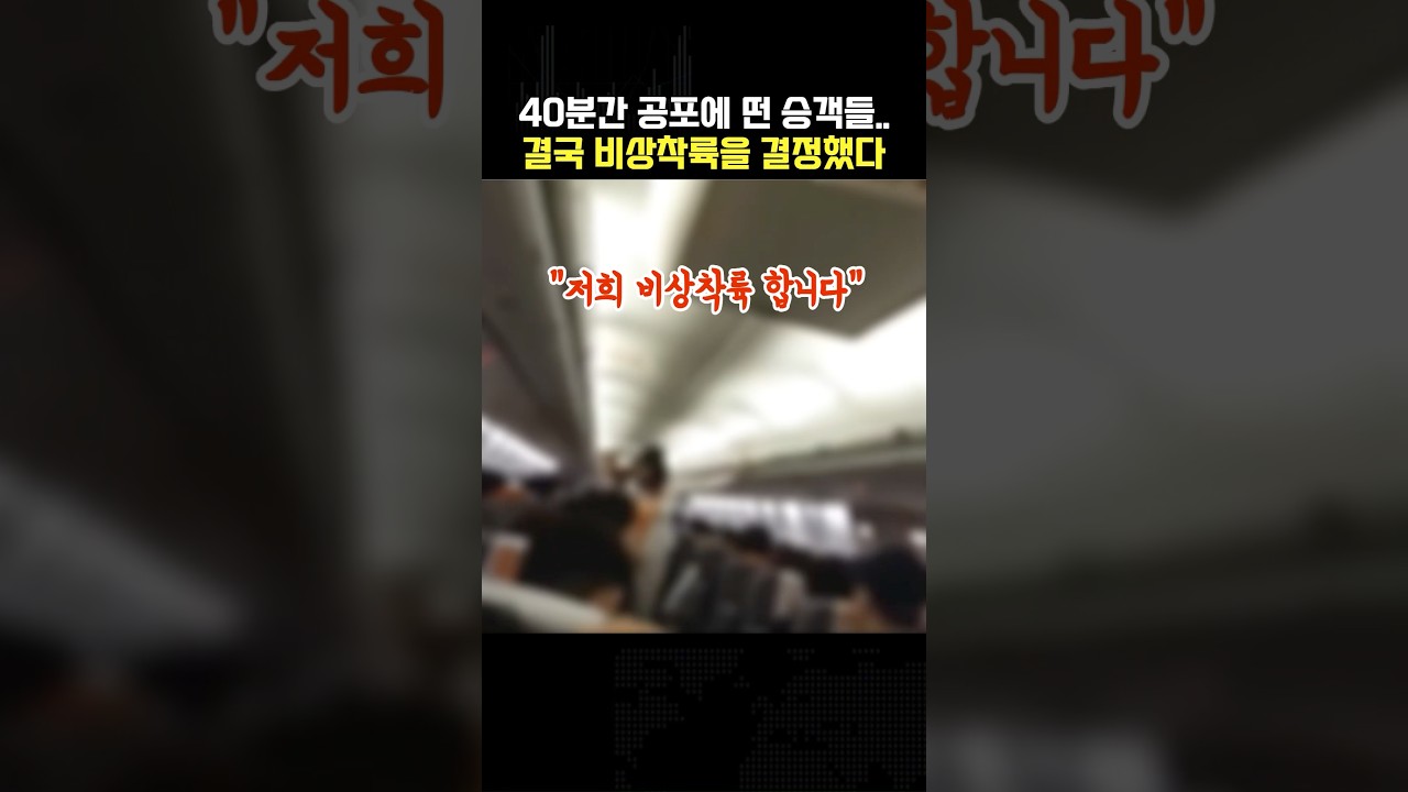 184명의 승객을 태운 제주항공 비상 착륙 상황..