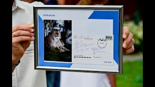 К юбилею Фонда зоозащиты «Спаси меня» выпустили почтовый штемпель с изображением рыси Марыси