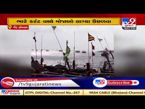 Signal number 3 hoisted on Gir Somnath port as sea turns rough| TV9News