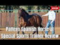 Pattern Spanish Horse at Cavalo Special Sports | Field trains | Fast Legs