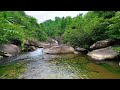 Mountain stream in green forest relaxing nature sounds white noise for sleep meditation asmr