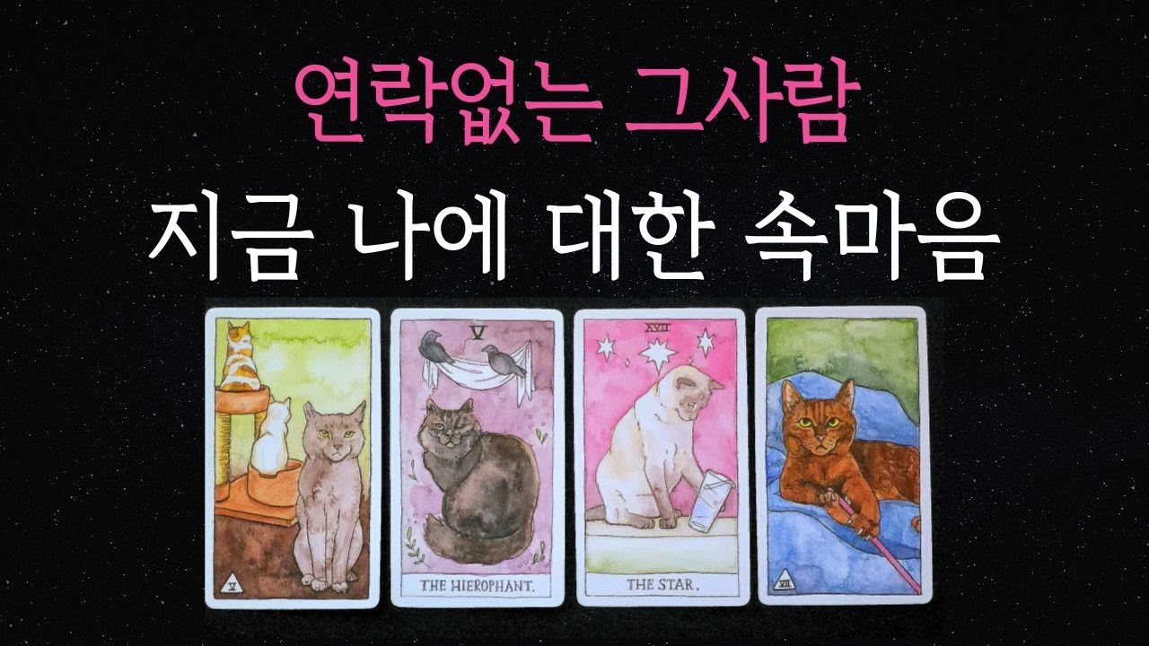 [타로💘]🔮연락없는 그사람📞 일부러 안 하는 걸까? 숨겨진 진짜 속마음🌷재회,썸🔥연락운🔥연락시기🔥재회
