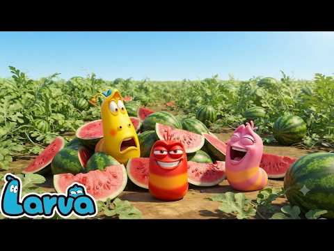 Larva Movie 2026: Larva New Season - Latest Episode: The Colossal Watermelon Disaster!