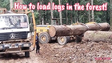 How to load logs in the forest logyard! #trendingshorts