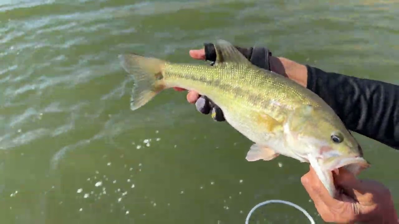 9-2-2026 Bass fishing with uncle How at pine flat lake