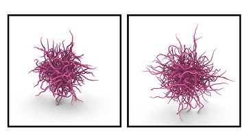 Rhino Grasshopper (Wandering Particles)