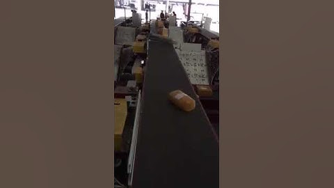 Auto Sorting Belt Conveyor