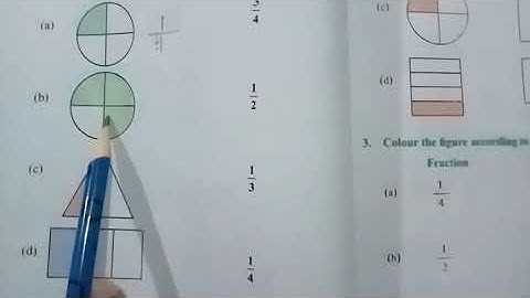 PSEB 4th Maths Exercise 3.1 question 2