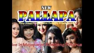 Ani Arlita rahasia cinta - NEW PALLAPA terbaru live in MOJOPARON