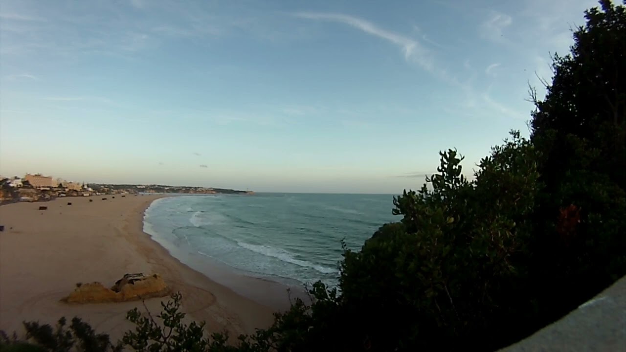 Nicolae Petrescu-Redi - Meșterul