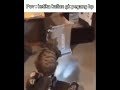hahaha dimana kau hp haha🤤🤤😵