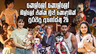 කොළඹ පාටකරපු කෙල්ලෝ කොල්ලෝ බල්ලෝ | Colombo Dog Festival by Pet Talk 9,126 views 7 months ago 31 minutes
