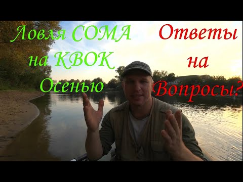 Ловля сома на квок осенью! Ответы на вопросы . #fishing #сомнаквок #квок #сом #catfish