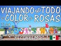 🚐 VIVIR en un MOTORHOME NO TODO es COLOR DE ROSAS 《Visitamos TODOS SANTOS》 Baja California – MEXICO