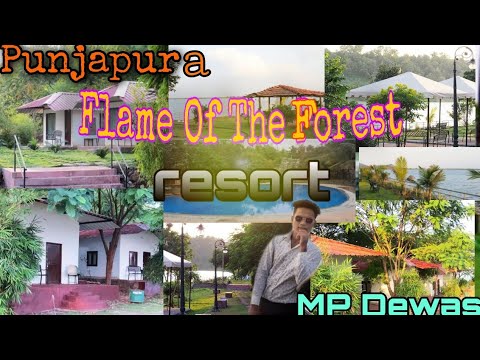 THE BAAKHLI (Ramnagar) - Hotel Reviews, Photos, Rate Comparison -  Tripadvisor