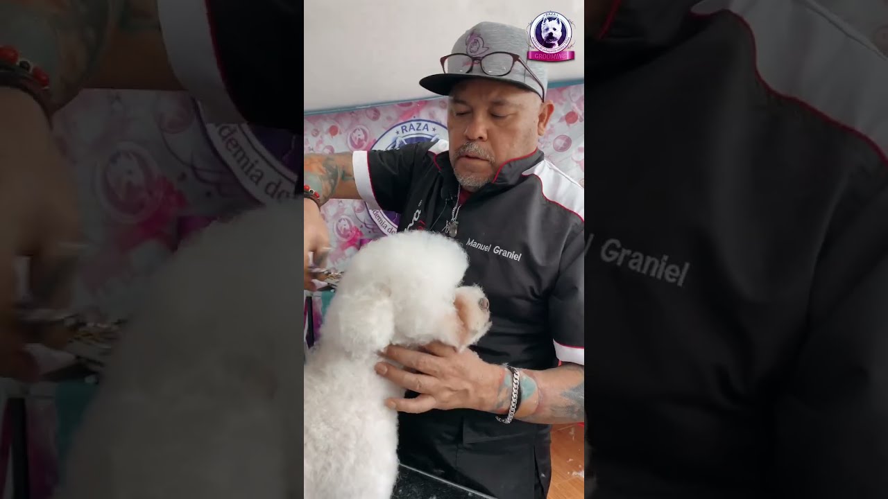 Día práctico con Manuel Graniel - Corte Asiático 