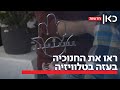 נס גלוי החנוכיה נבזזה מבארי הגיעה לעזה וחזרה למשפחה לגמרי במקרה נס גלוי החנוכיה נבזזה מבארי הגיעה לעזה וחזרה למשפחה לגמרי במקרה