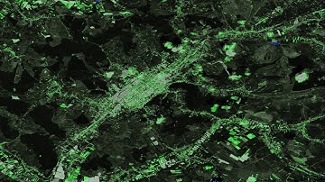 NDVI (normalized difference vegetation index) calculated in SNAP