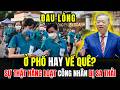 Tin Tức Thời Sự 24h: Làn Sóng Sa Thải Bùng Nổ, Giấc Mơ Bám Trụ Thành Phố Dần Tan Vỡ