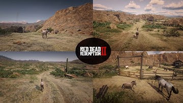Donkey (Mod: Project New Austin 1907 – Classic Color Scheme) - Red Dead Redemption 2