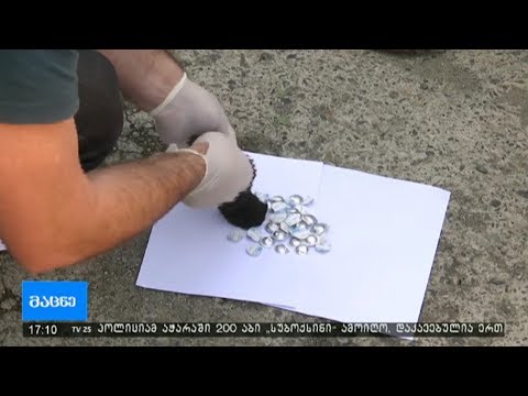 ნარკოტიკული საშუალების უკანონო შეძენა-შენახვის ბრალდებით თურქეთის რესპუბლიკის მოქალაქე დააკავეს