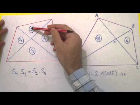 DÖRTGENLER 2 - Dörtgende alan - Şenol Hoca