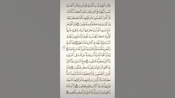 سورة البقرة صفحه في اليوم تسعد يومك بإذن الله تعالى #قران#الابذكرالله_تطمئن_القلوب #qurankarim