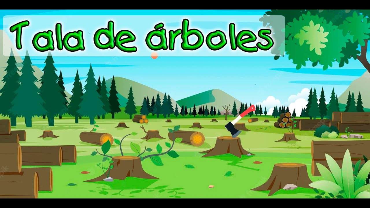 INFOGRAFÍA TALA DE ÁRBOLES - YouTube