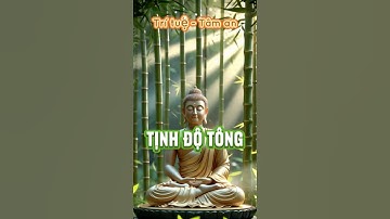 TỊNH ĐỘ TÔNG LÀ GÌ? KHÁM PHÁ PHÁP MÔN ĐƯA NGƯỜI VỀ CÕI AN LẠC #tinhdotong #loiphatday #phatphap